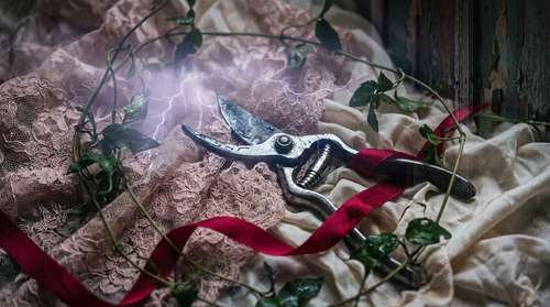 Clara's Secateurs