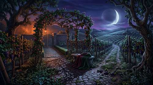 Cover image for Under the Vineyard Moon